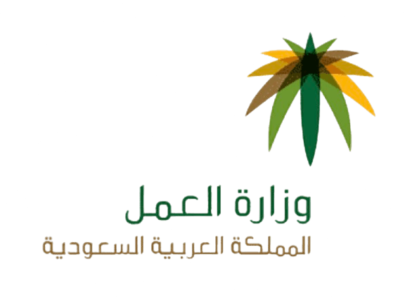 جائزة الموظف المثالي على مستوى المملكة العربية السعودية.